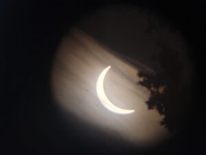 Sonnensichel